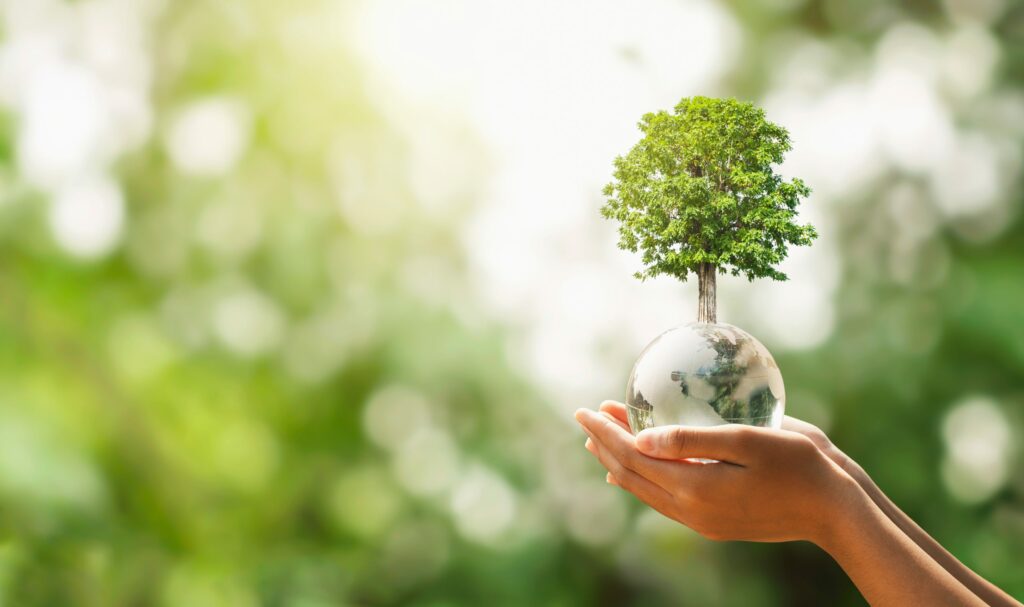 A person holding a small tree in a glass bulb